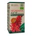 DEF aloe arborescens agave
