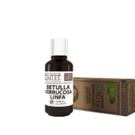 Ecogemme Bio Betula Verrucosa Linfa coadiuvante nel trattamento della Ipercolesterolemia, Reumatismo degenerativo, Iperuricemia e gotta